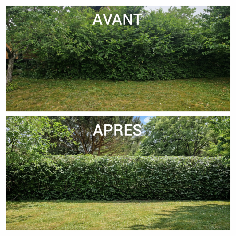 ChatGPT Image 20 mars 2026, 18_33_51